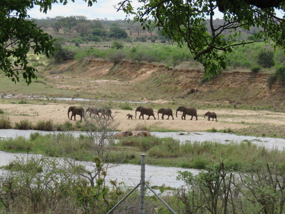 Kruger View Tree House Villa Marloth Park Buitenkant foto