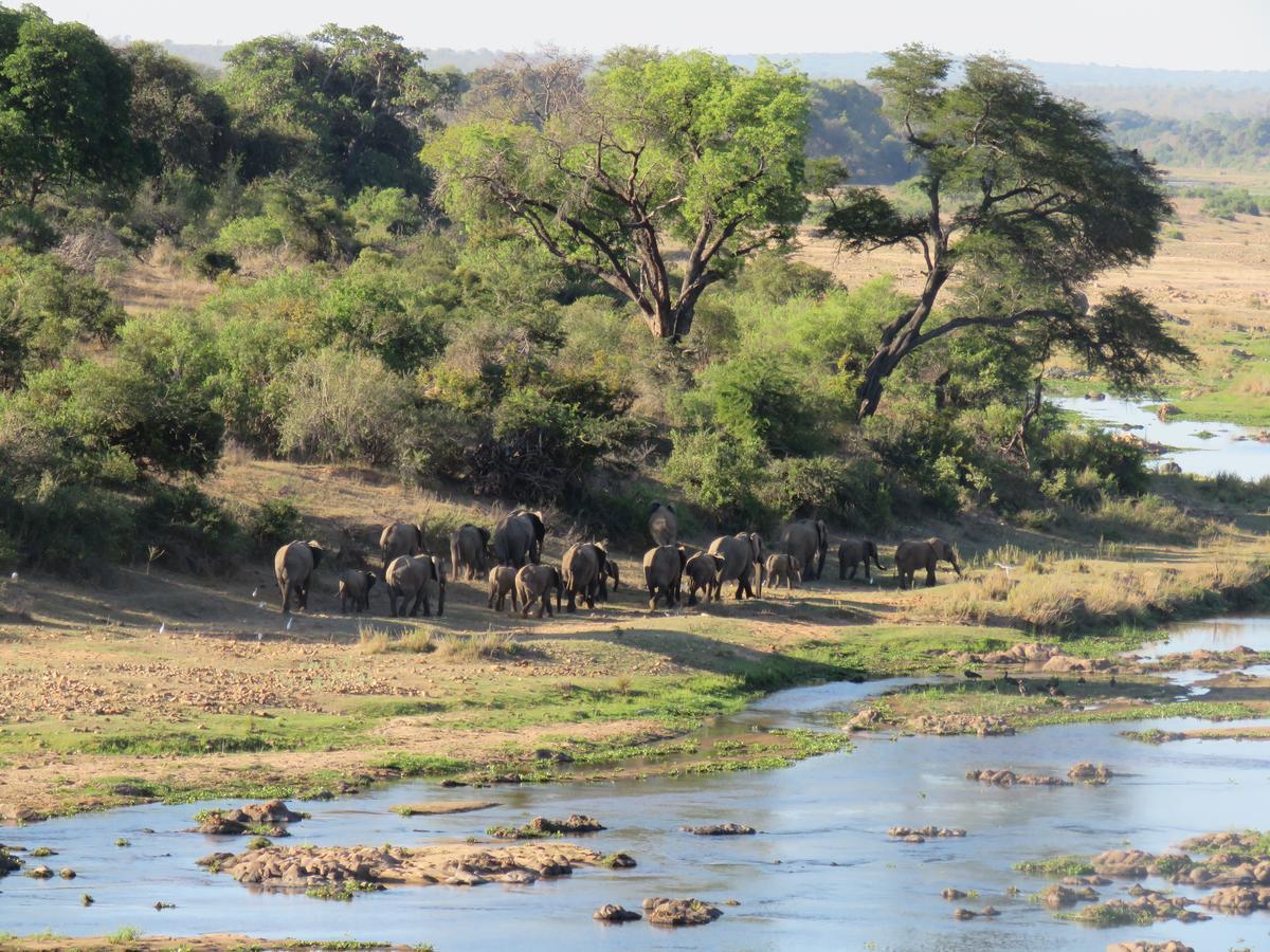 Kruger View Tree House Villa Marloth Park Buitenkant foto