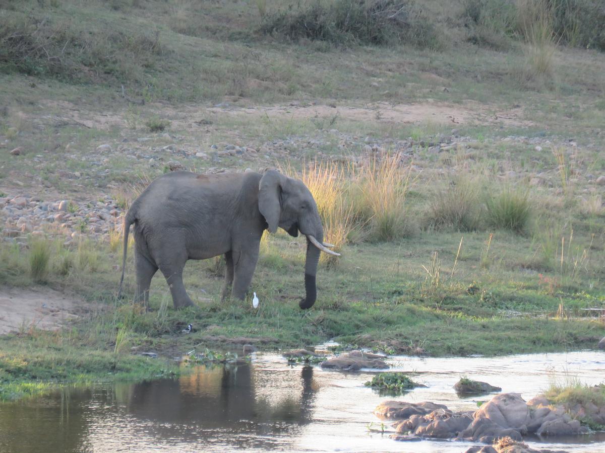 Kruger View Tree House Villa Marloth Park Buitenkant foto