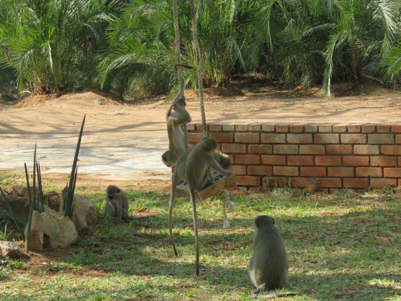 Kruger View Tree House Villa Marloth Park Buitenkant foto